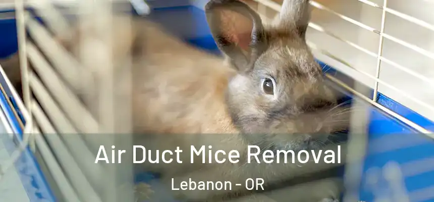  Air Duct Mice Removal Lebanon - OR
