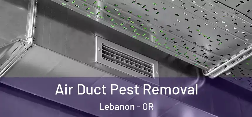  Air Duct Pest Removal Lebanon - OR