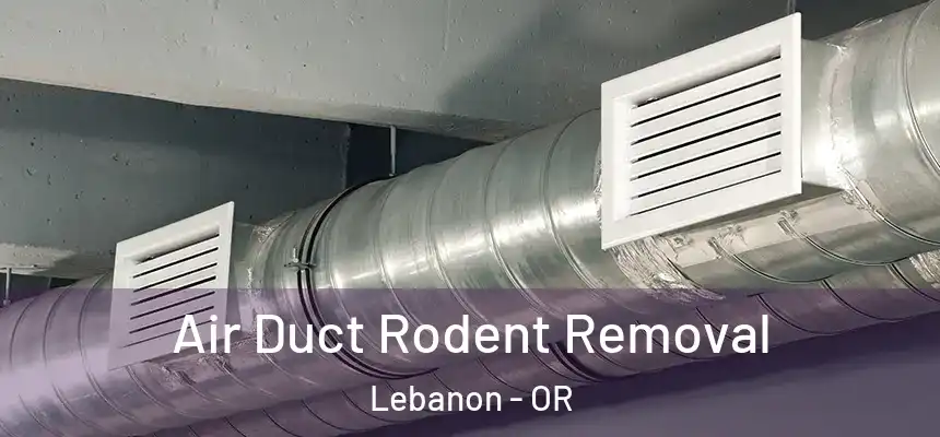  Air Duct Rodent Removal Lebanon - OR