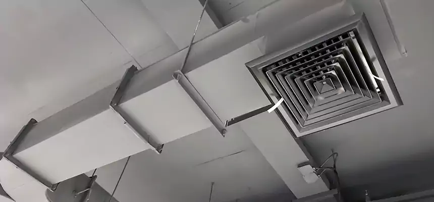 Restorative Allergy Relief Vent Cleaning – Coil, Blower & Housing Detail in Lebanon