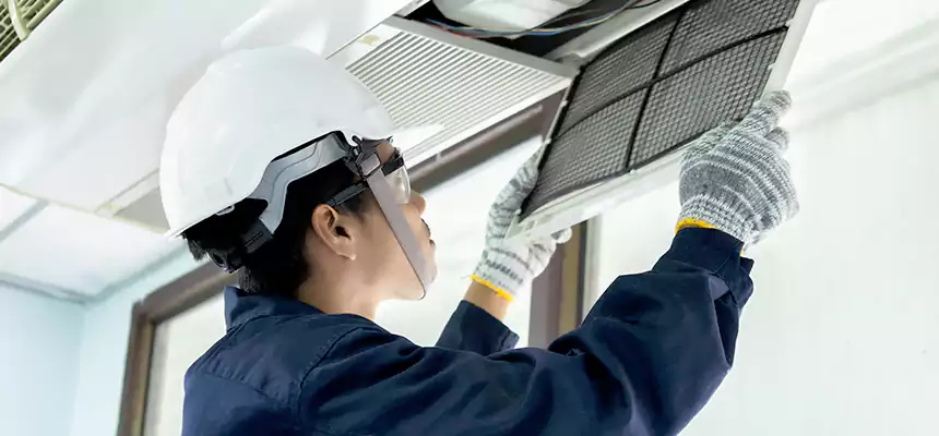 Our Mold & Mildew Removal from Air Ducts Services in Lebanon, OR