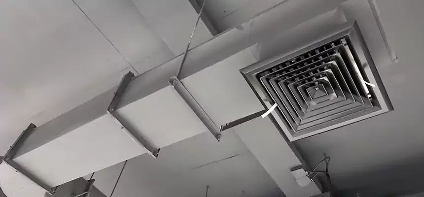 Our Pest Removal From Ducts Services in Lebanon, OR