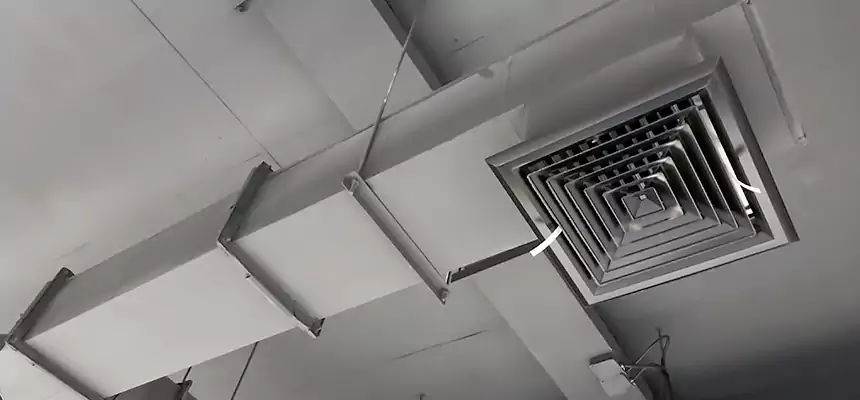 Our Rodent Droppings In Vents Services in Lebanon, OR