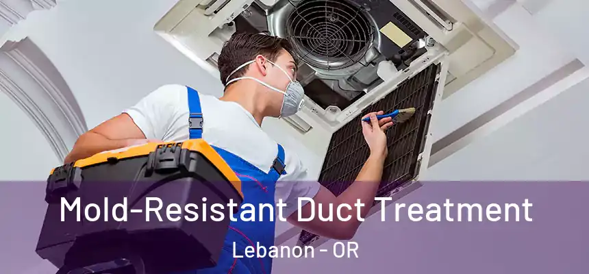  Mold-Resistant Duct Treatment Lebanon - OR