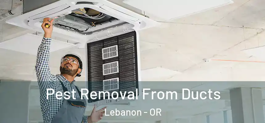  Pest Removal From Ducts Lebanon - OR