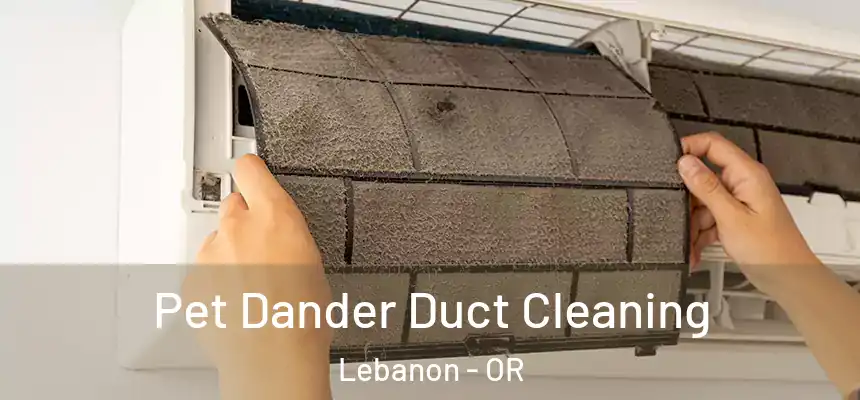  Pet Dander Duct Cleaning Lebanon - OR