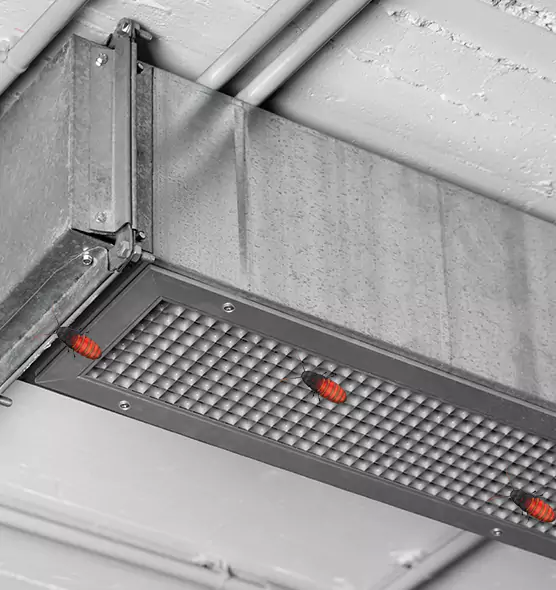About Air Duct Cockroach Removal in Lebanon, OR