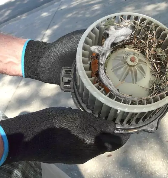 About Air Duct Rat Removal in Lebanon, OR