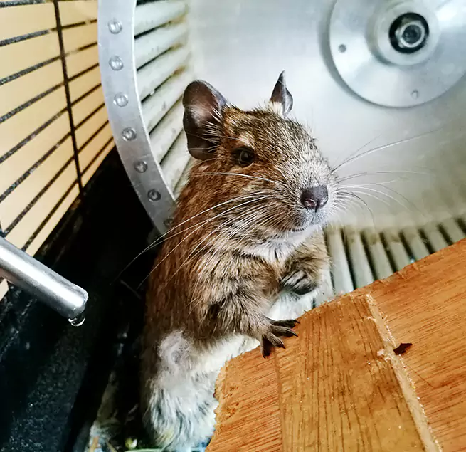 Why Homeowners & Businesses Trust Us Lebanon, OR?