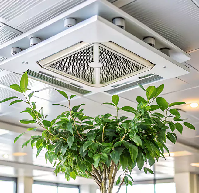 Why Homeowners & Businesses Trust Us in Lebanon, OR